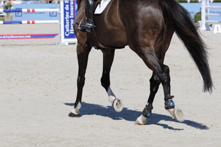 Rodrigo Pessoa é top-10 de salto a 1,55 m em Wellington