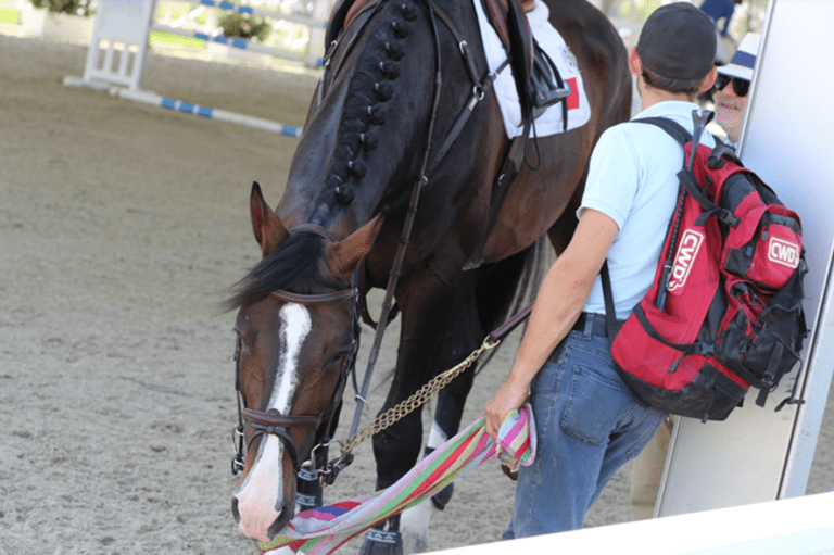 FEI reconhece oficialmente a International Grooms Association: “Os tratadores internacionais finalmente ganham voz”