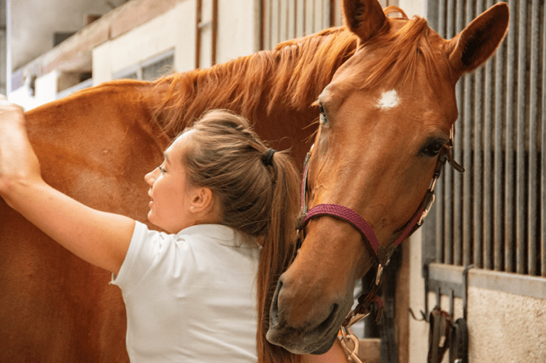 É assim que você mantém a pelagem do seu cavalo saudável e brilhante