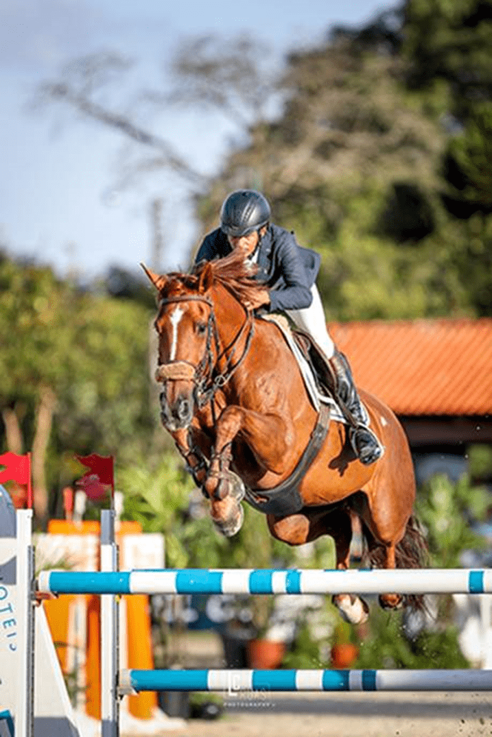 Marcello Ciavaglia com GR Garuda fatura prova a 1.50m, qualificativa do GP, do Internacional Cidade de Curitiba