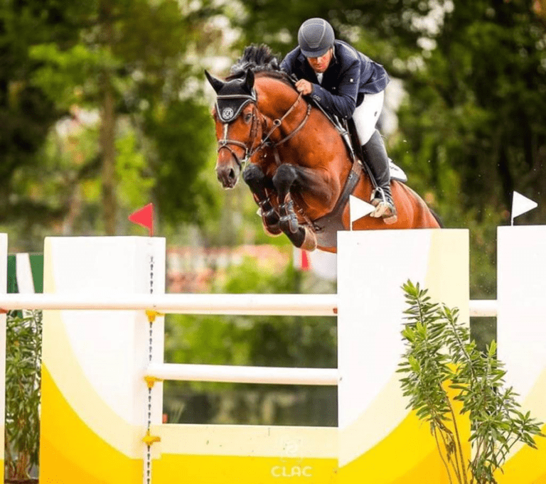 Dada a largada do ranking brasileiro de cavalos novos 2022