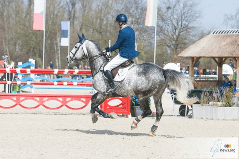 Olivier Philippaerts tem que passar Bernardo Alves nos 1,40m da Silver League Hasselt