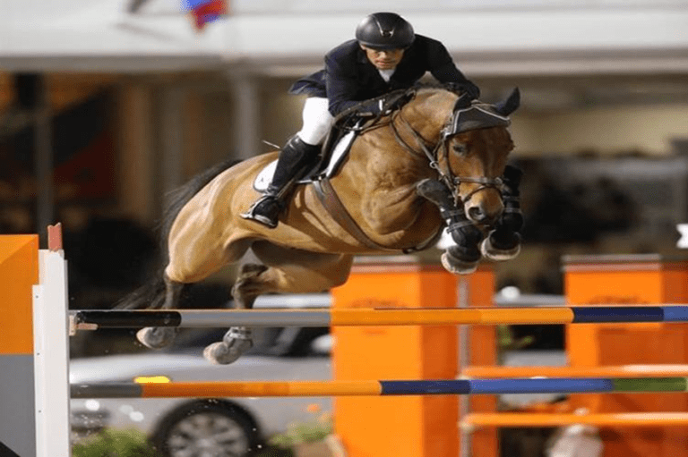 Filip De Wandel e Manhattan van ‘t Leeuwerikenhof brilham em Wellington