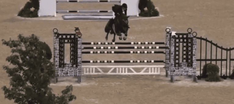 Zilouet Mystic Rose participa do Grande Prêmio do CSI3* Kentucky