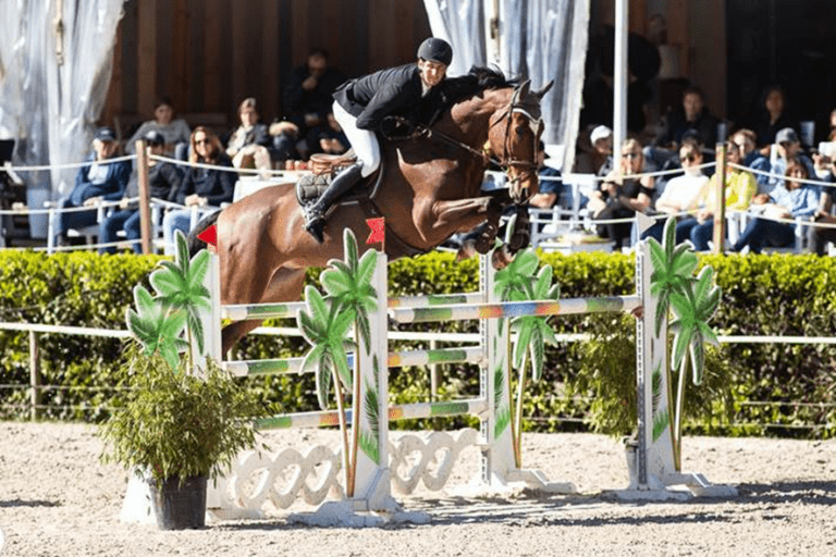 Anthony Wellens quinto no CSIO3* 1,45m Silver Tour