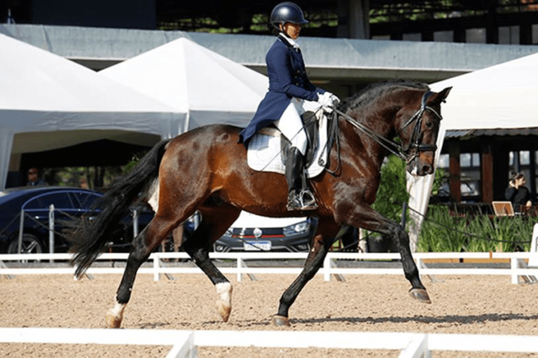 De olho nos Jogos Sul-americanos no Adestramento: 13 conjuntos atingem 1º índice técnico da FEI