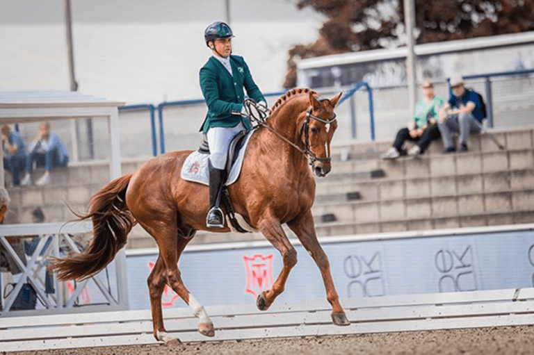 De olho no Mundial 2022 | Rodolpho Riskalla vence de ponta a ponta no Internacional Paraquestre de Mannheim, na Alemanha