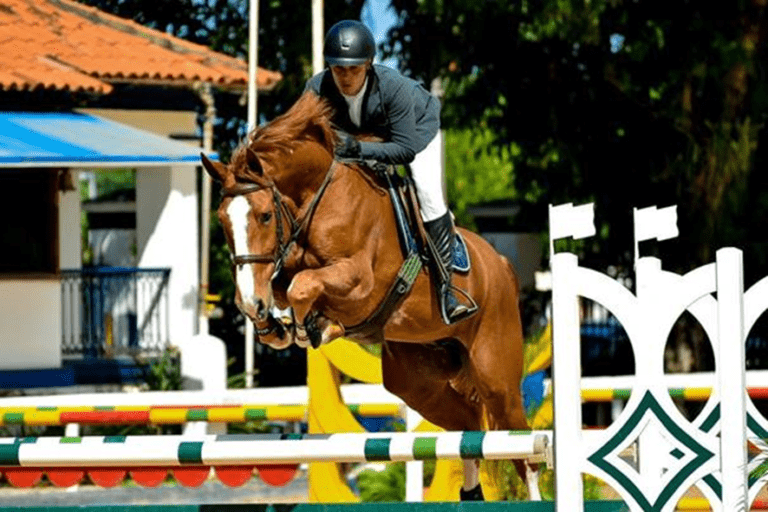 Brasileiro de Hipismo emplaca no Estadual de Cavalos Novos no Rio de Janeiro