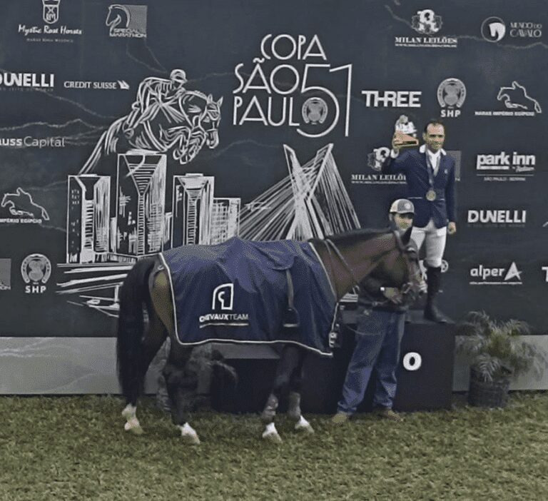 Confira os campeões da sexta etapa do ranking nacional de cavalos novos CBH