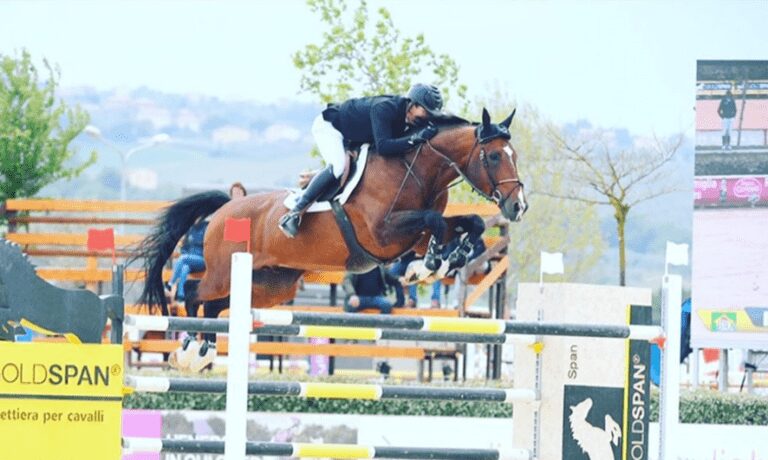 Ouro, prata e bronze para o Brasil em quatro estrelas na Bélgica