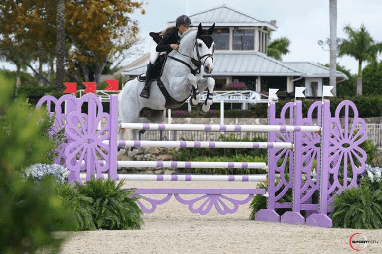 Cavalos belgas dominam a primeira classe de Tryon