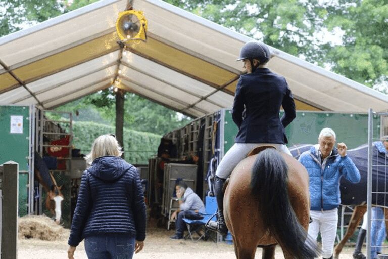 A magia de um fundo de cavalos…