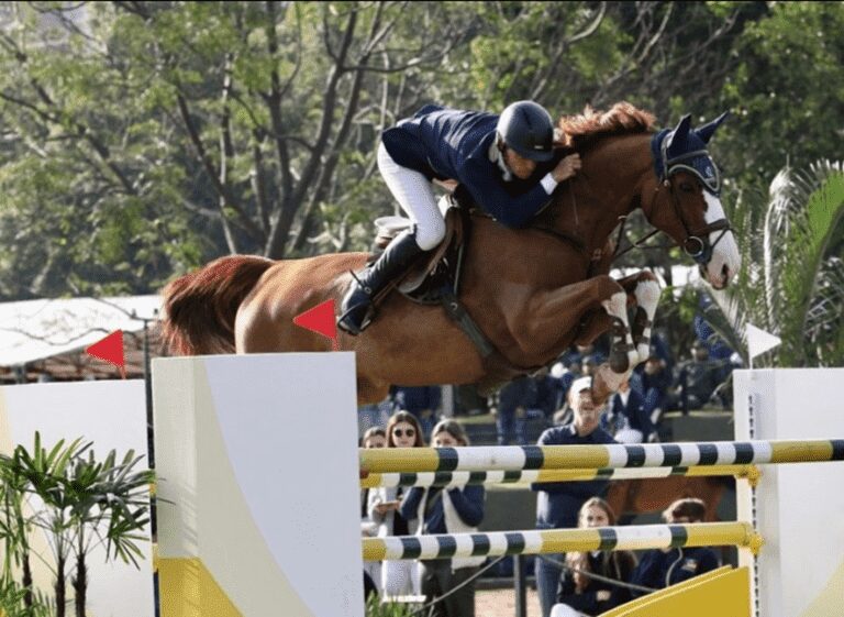 Chevaux Hex-Lup rouba a cena do clássico em São Paulo