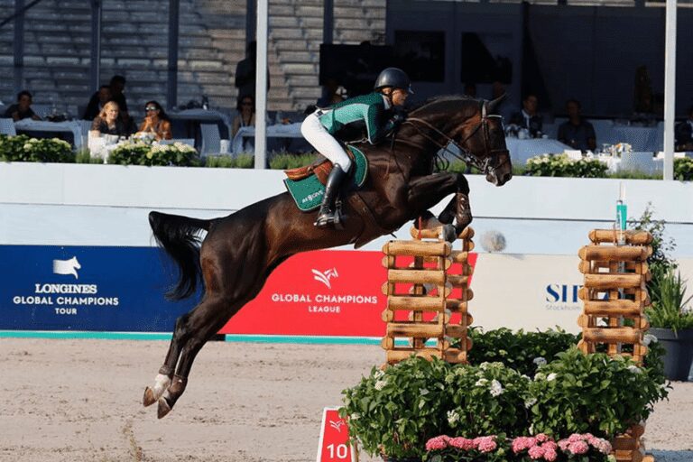 El Barone 111 de Lövsta Stud e Malin Baryard Johnsson doam 150.000 coroas suecas para caridade