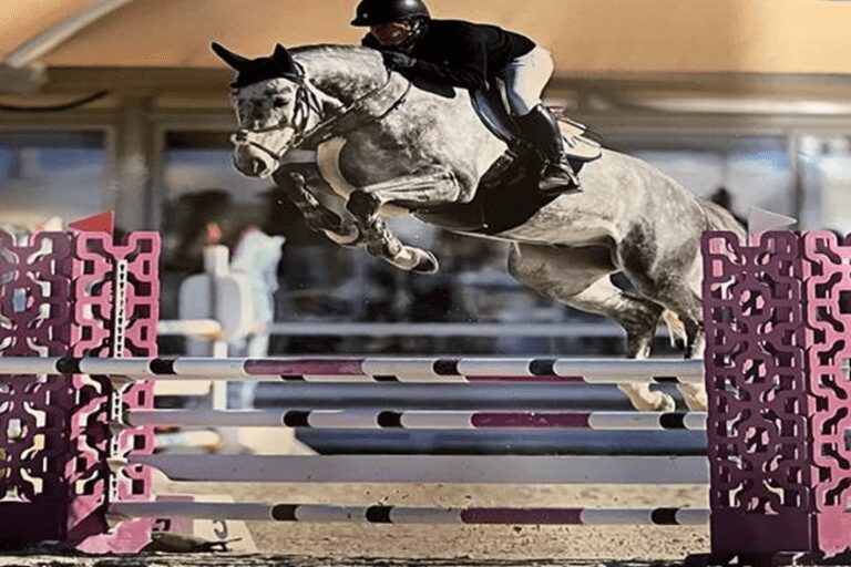 Hilton Stables se despede de Quix des Dames