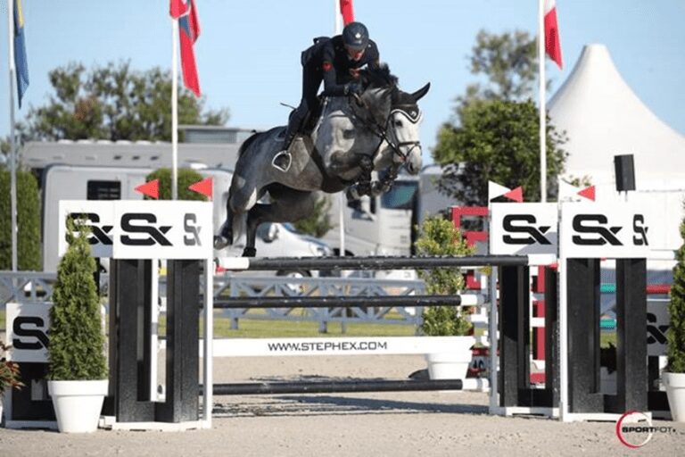 Novo talento para Scott Brash