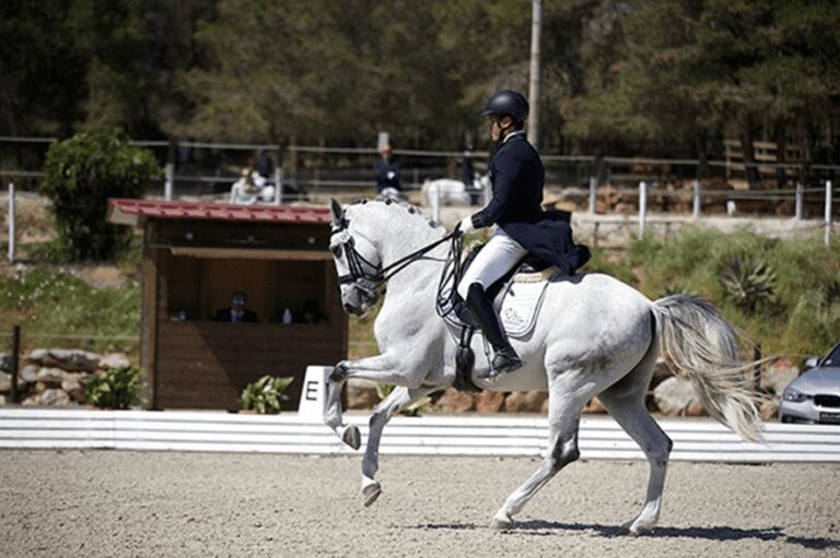 Pedro Almeida e Famous Do Vouga faturam Grand Prix no CDI3* de Segovia, na Espanha