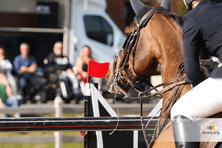 Ex-cavalo de Catherine Van Roosbroeck se muda para Quinten Judge via Stal Lenssens
