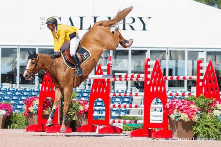 Novo cavalo do Grande Prêmio para Yuri Mansur