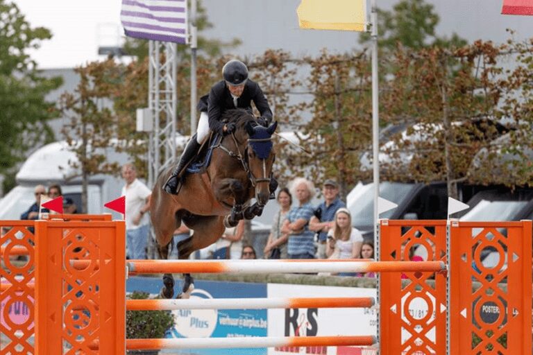 Stephex Stables continua a investir e compra Piaf Horta
