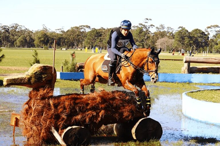 Os campeões do Concurso Completo Internacional, Nacional e Brasileiro do Exército no Parque Marechal Osório no RS
