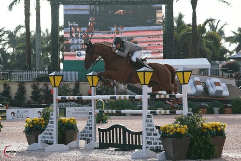 Francisco Musa conquista dupla vitória em Sentower Park. Andre Miranda é vice no CSI3*