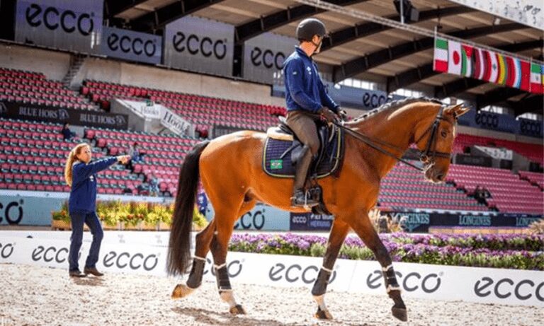 Nuno Chaves abre Mundial com 41º lugar no adestramento