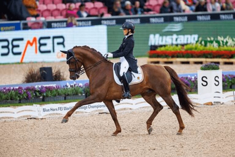 Charlotte Fry e Glamourdale vencem o Campeonato Mundial de Adestramento. Larissa Pauluis pontua mais de 71%.
