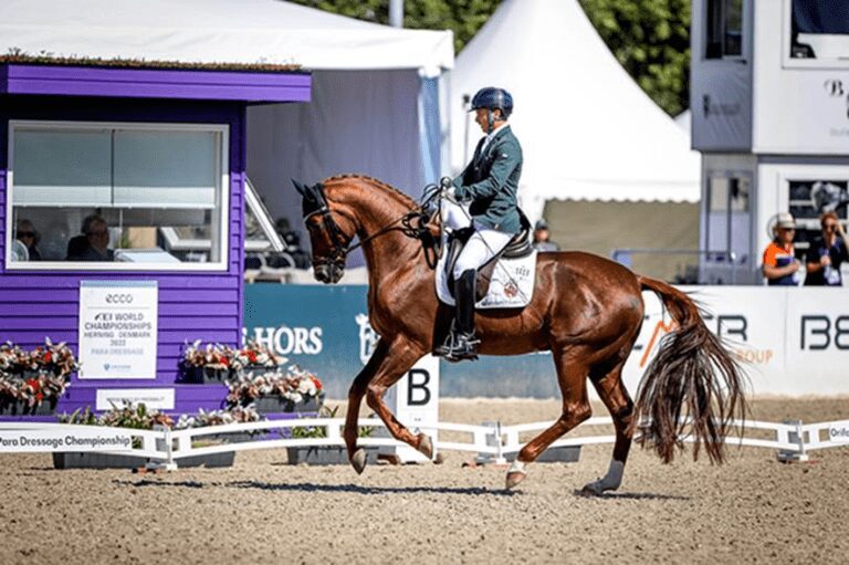 Rodolpho Riskalla é Brasil na final do Mundial Paraequestre na Dinamarca, marcando sua última dança com Don Henrico