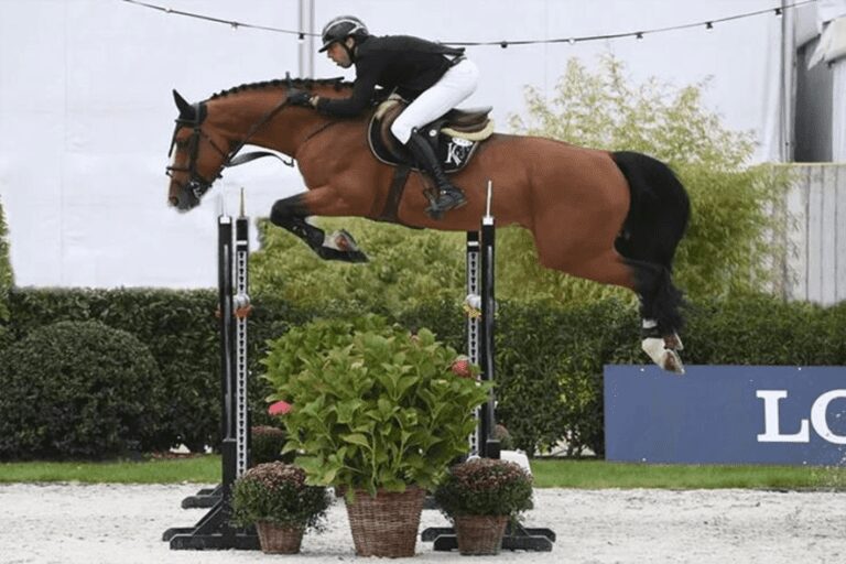 Finalista do Campeonato Mundial para Cian O’Connor
