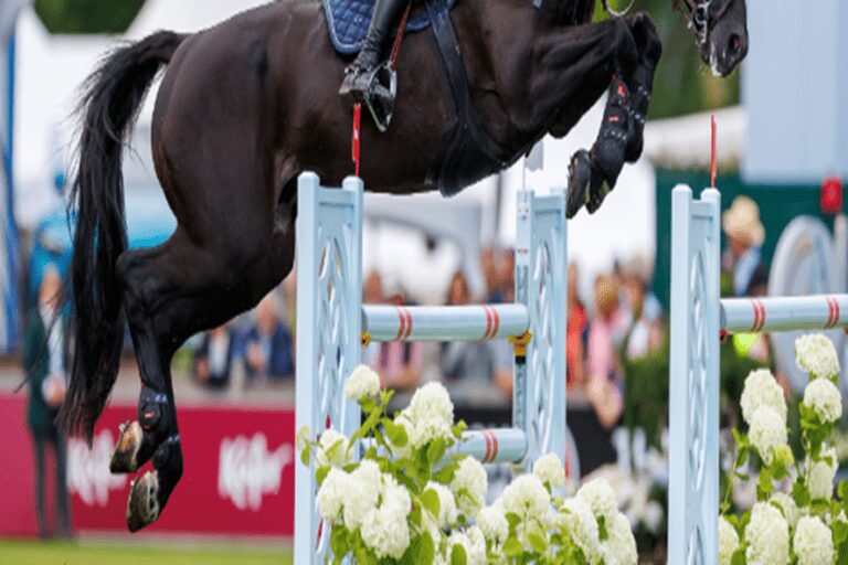 Morreu o melhor cavalo de Wim Schröder, Eurocommerce Montreal