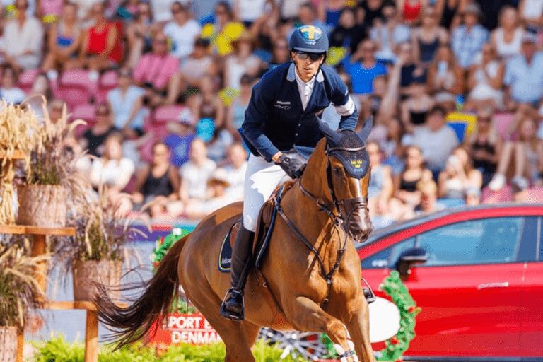 King Edward é o melhor no último ranking WBFSH do ano. BWP em primeiro