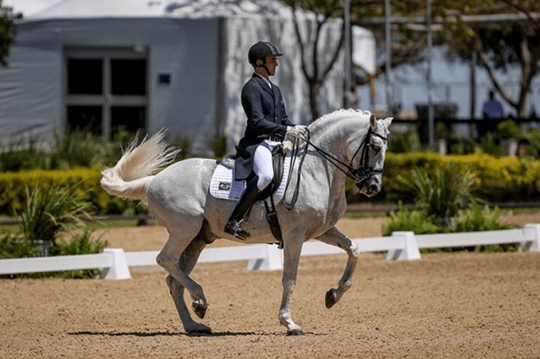 Time Brasil de Adestramento lidera em busca do ouro e tri consecutivo por equipes no Odesur 2022, valendo vaga no Pan 2023