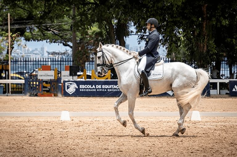 Campeões sul-americanos Victor Avila e Vinicius Miranda largam na frente na categoria Senior no Brasileiro e Taça Brasil de Adestramento, no Rio