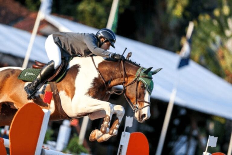 Sociedade Hípica Brasileira no Rio comemora 84 anos com campeões sul-americanos em pista. Tradicional e mais charmoso polo hípico do país recebe a elite do hipismo de 23 a 27/11