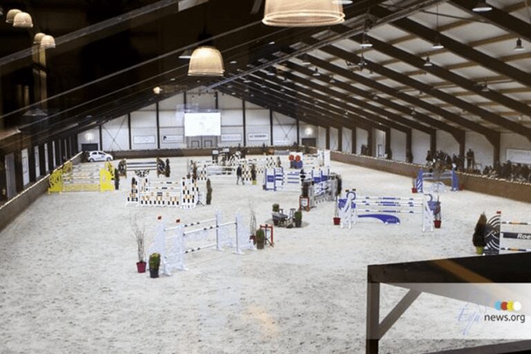 Kentucky TMS Z, criado na Bélgica, vence Peelbergen Stallion Competition