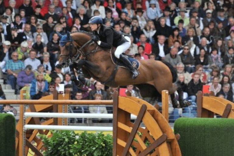 Chacco Blue permanece no topo do ranking de garanhões da WBFSH
