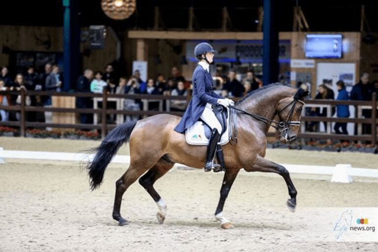 Jorinde Verwimp se destaca na FEI Dressage World Cup GP Madrid
