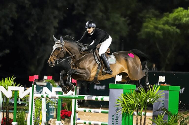 Final do ranking de cavalos novos promete bater recorde no XVII Festival BH em SP