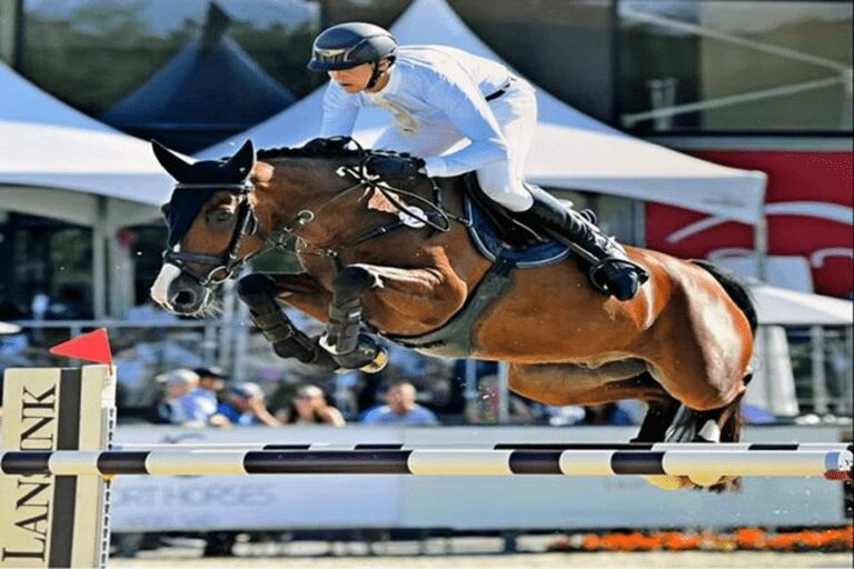 Stal de Eyckenhoeve e Hoekstra Stables investem em campeão belga