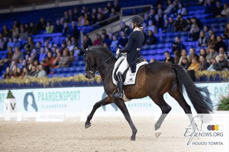 Larissa Pauluis brilha na FEI World Cup Dressage Freestyle, van Liere vence