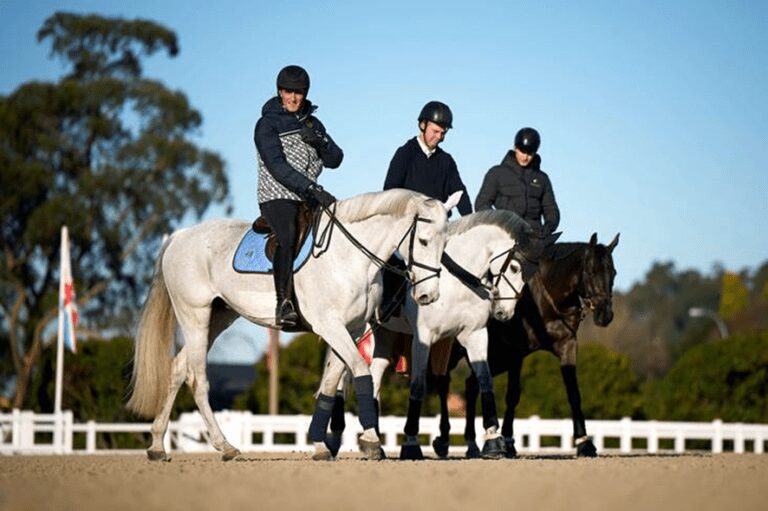 Olivier Philippaerts: “Fizemos uma temporada fantástica, mas estamos longe de esgotados!”