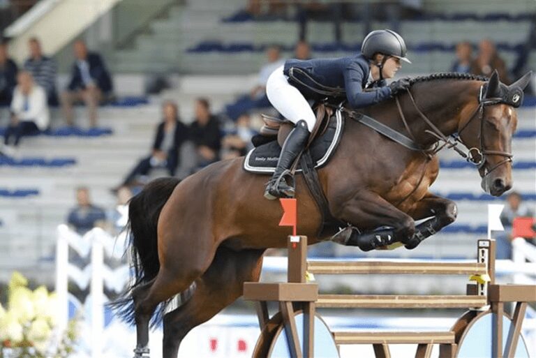 Aposentadoria esportiva para Hilfiger van de Olmenhoeve de Emily Moffitt (15)