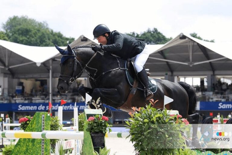 O garanhão de GP de Emily Moffitt, Copain du Perchet, em aposentadoria esportiva