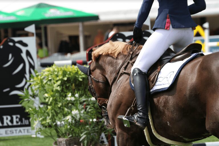 A pesquisa mostra: O esforço físico é menos ruim do que o estresse para o corpo dos cavalos