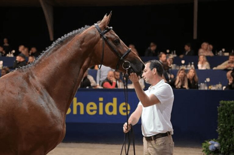 Judy Ann Melchior sobre Z-CSI4* Sentower Park: “Esporte e criação andam de mãos dadas em nosso DNA…”