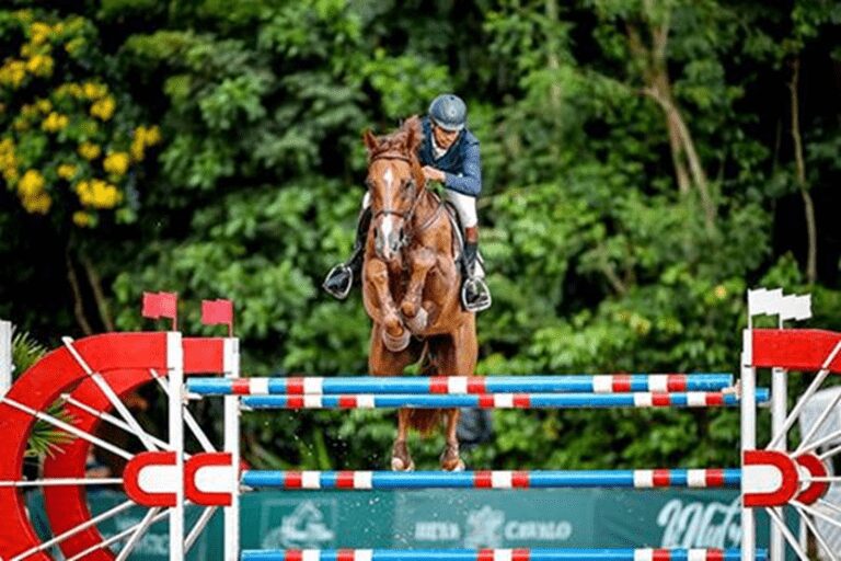 Premier 2S tem sua estreia nos Estados Unidos com clear round