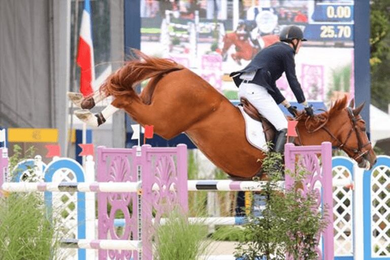 Jos Verlooy brilha em CSI4* Grand Prix de Wellington. Zoe Conter no palco novamente!