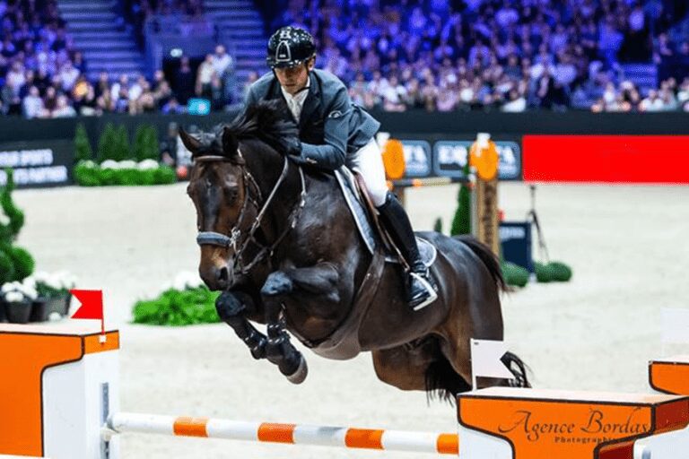 Cavalos e cavaleiros para a Copa do Mundo em Bordeaux