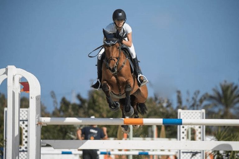 Bliss Heers: “Seja paciente, aproveite seus cavalos e aproveite o relacionamento com seus cavalos”.